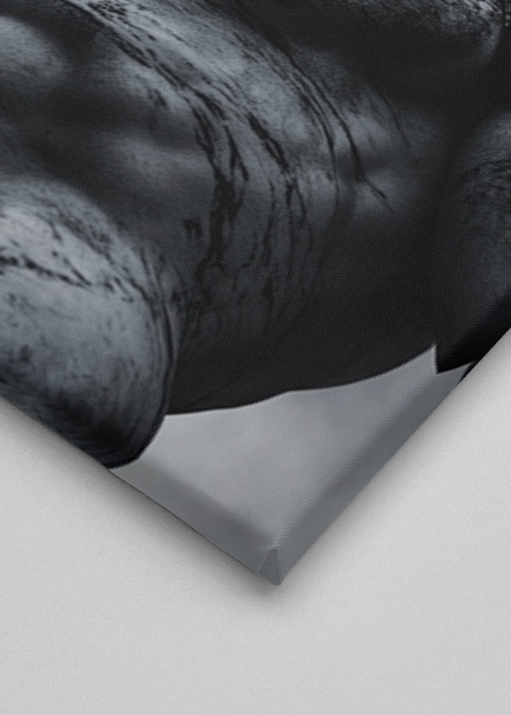 Marcus Aurelius Stoický citát