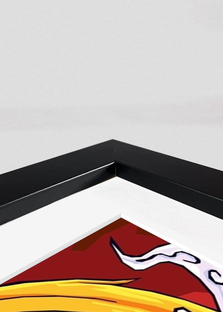 roronoa zoro x vinsmoke sanji