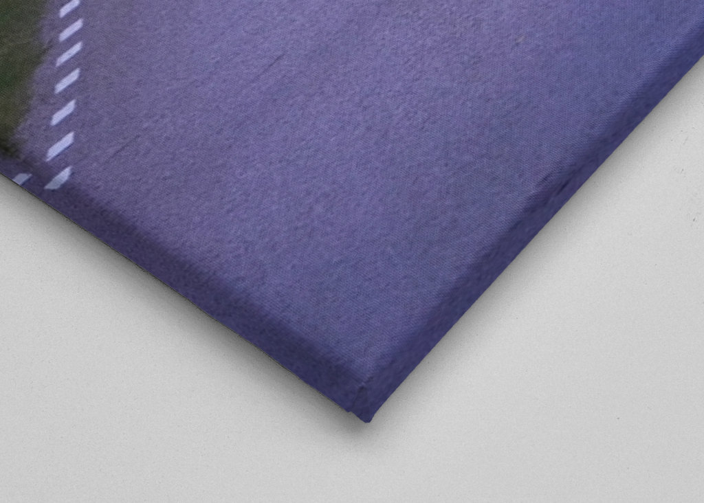 Losi přecházející silnici ve Švédsku