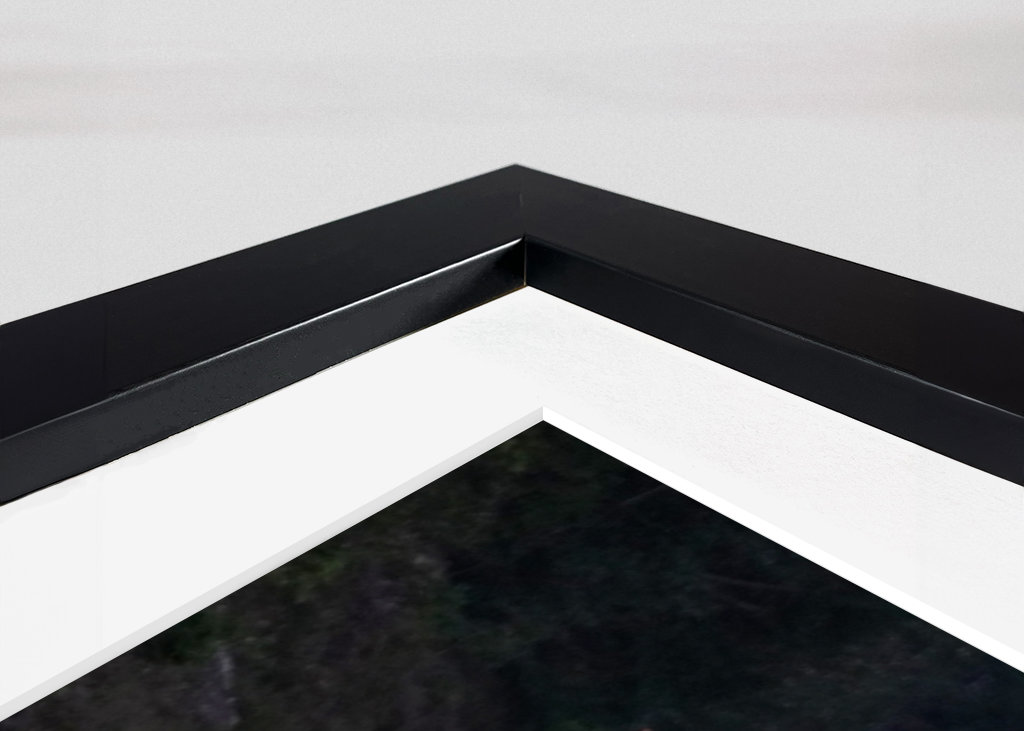 Losi přecházející silnici ve Švédsku