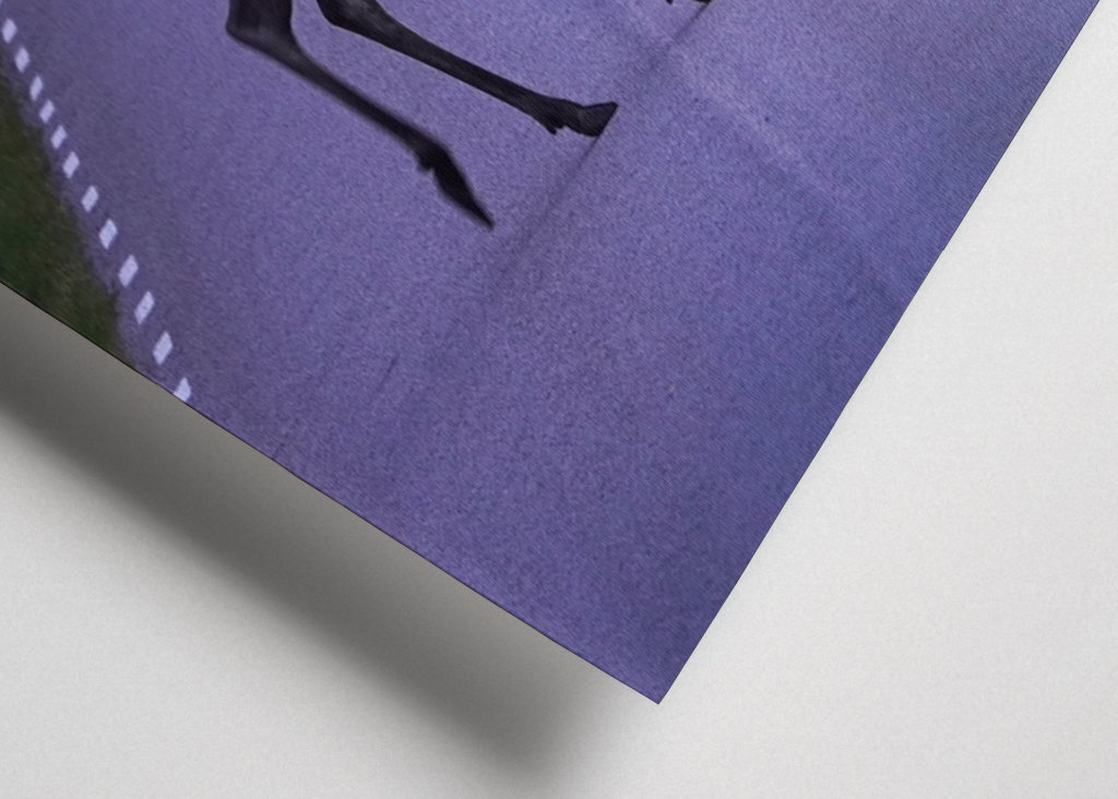 Losi přecházející silnici ve Švédsku