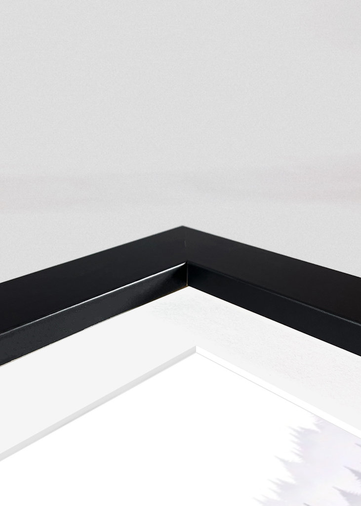 Het Bos van de pijnboom