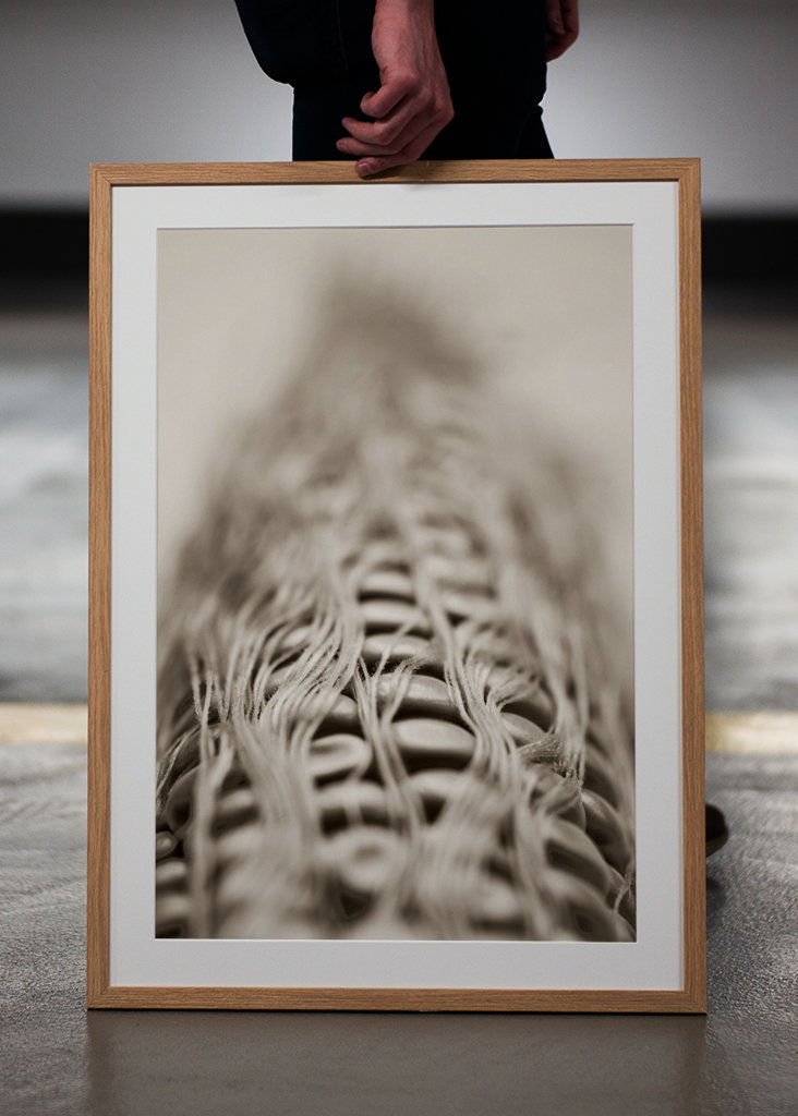 Het haar van de likdoorn