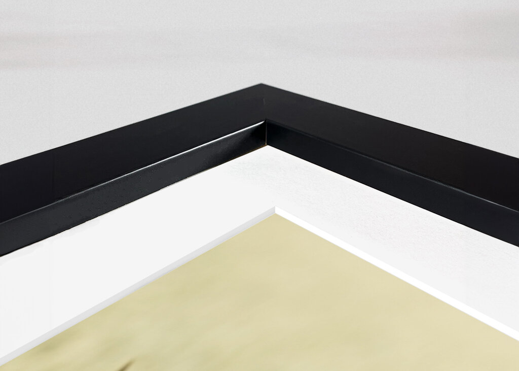 Bølgende kornblomst