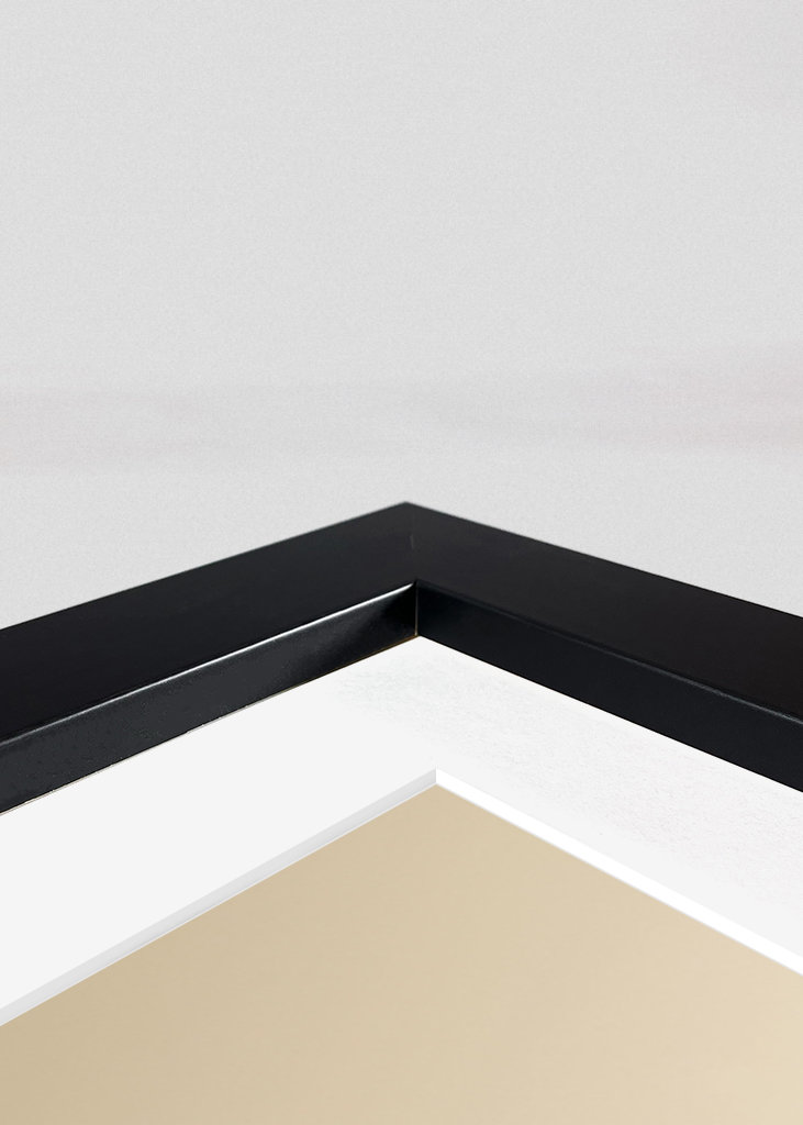 Skyline Dresden in Germany