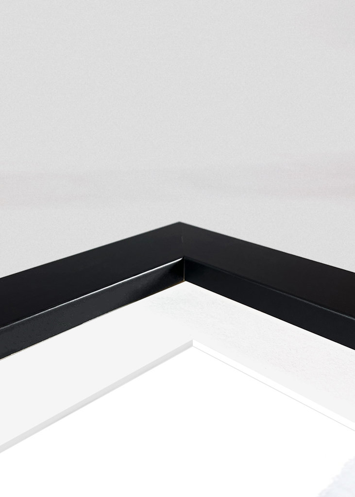 Het Bos van de pijnboom