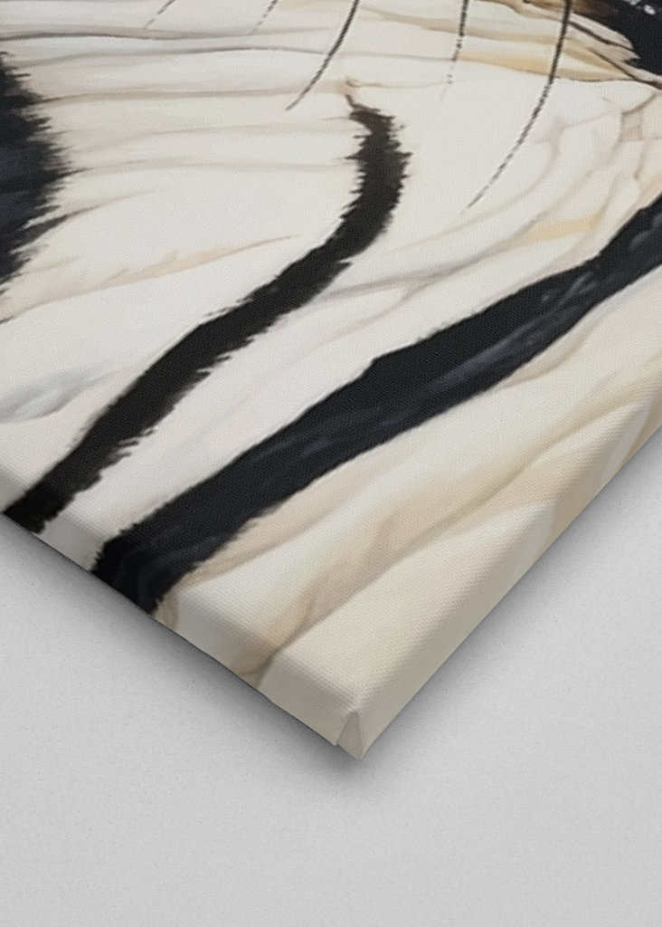 Predatory eyes Animal