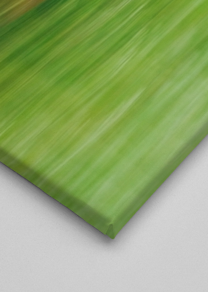 NASTĚHUJTE SE V ROT-GRÜN