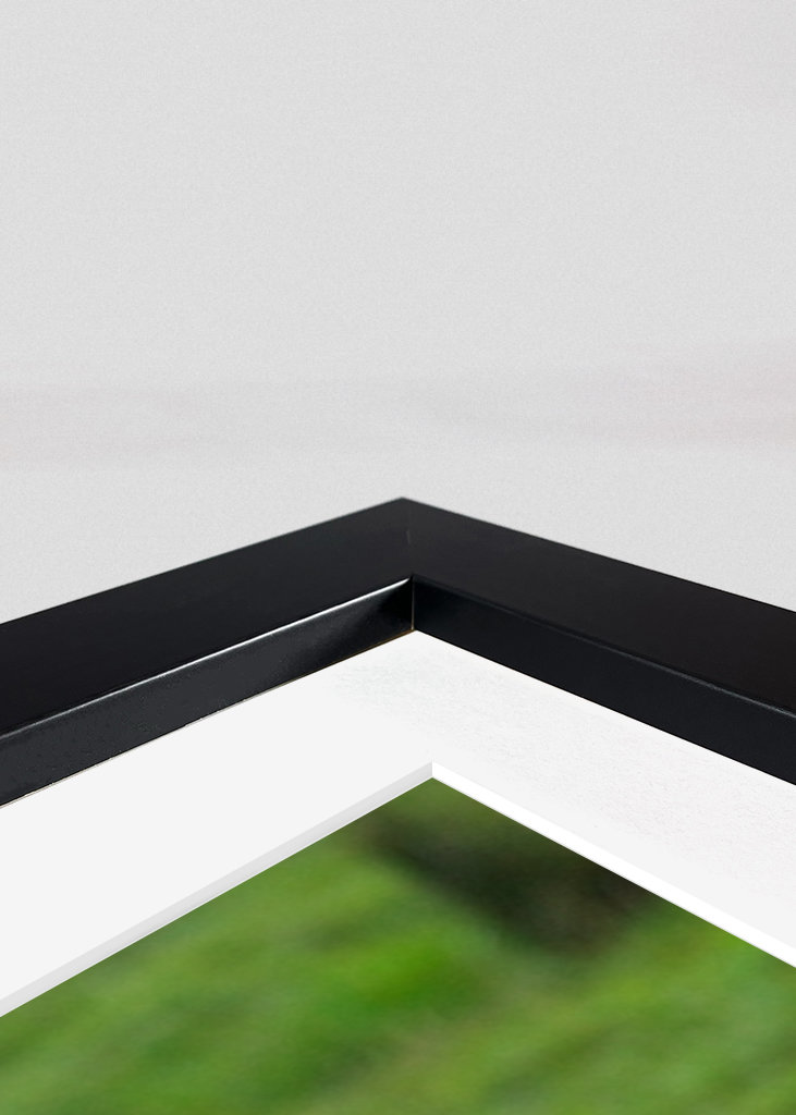 Un taureau sur les prairies de plage