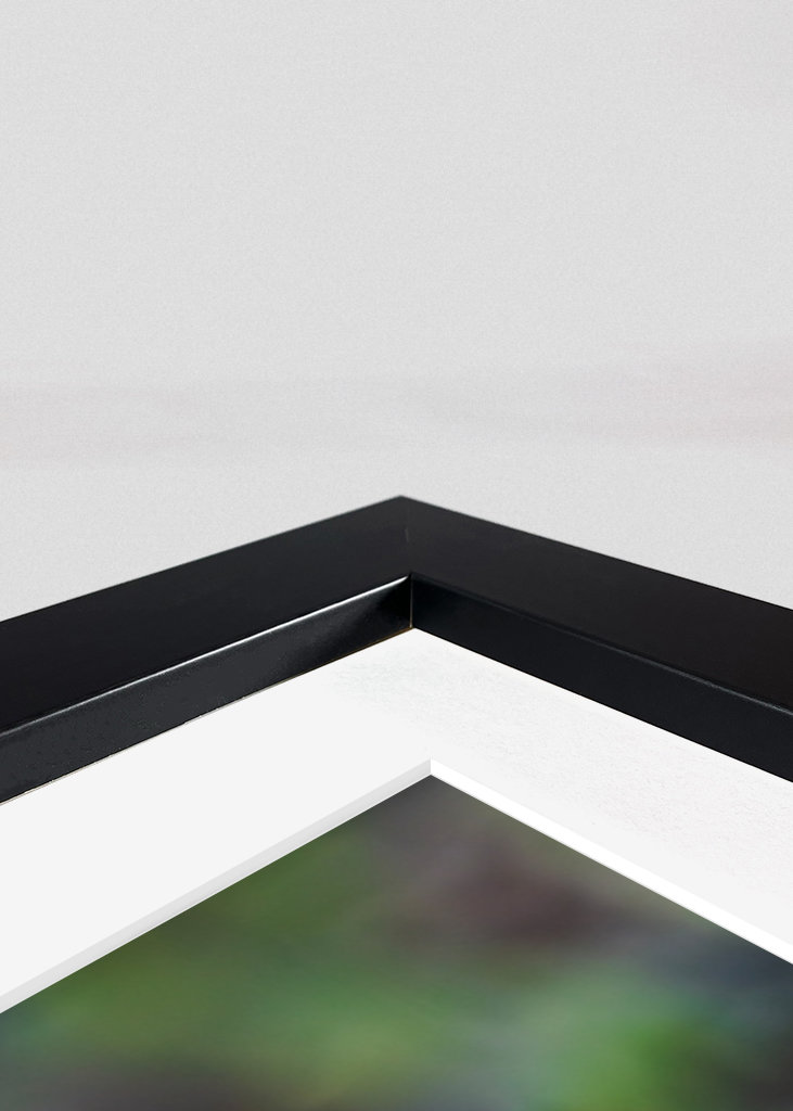 Roe deer in profile.