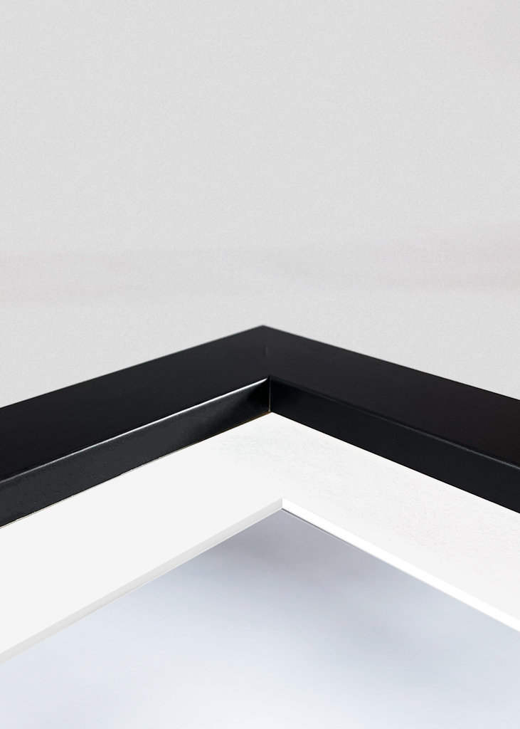 Loup majestueux en hiver