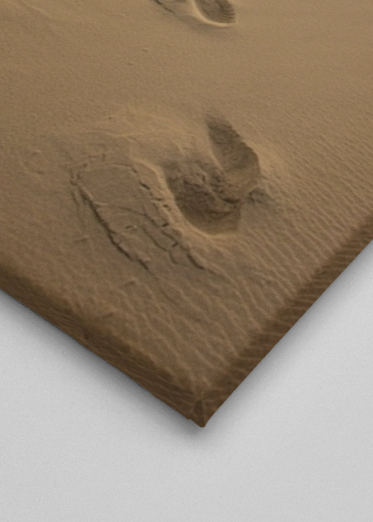 Footprints in the Sand