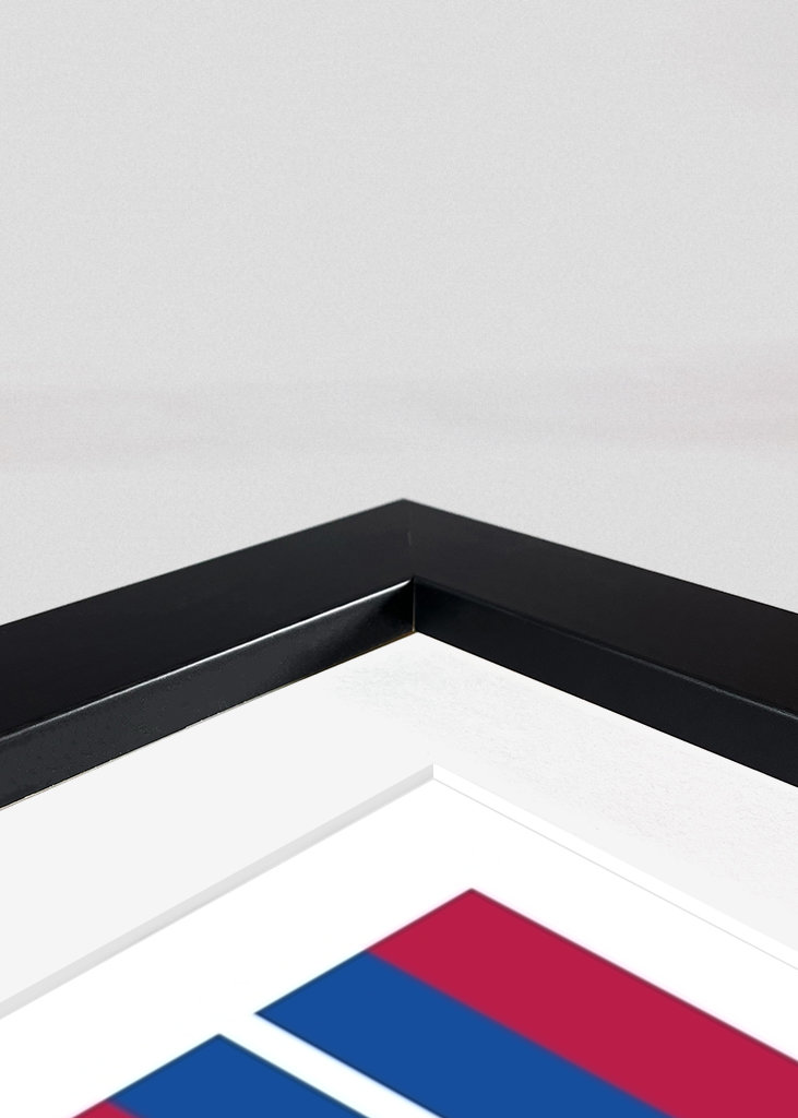 Stade de France 2006