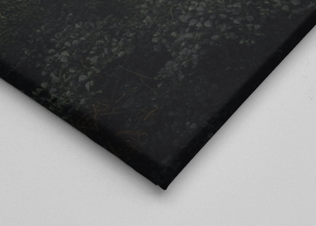 Österlen Lindgren's Lengga