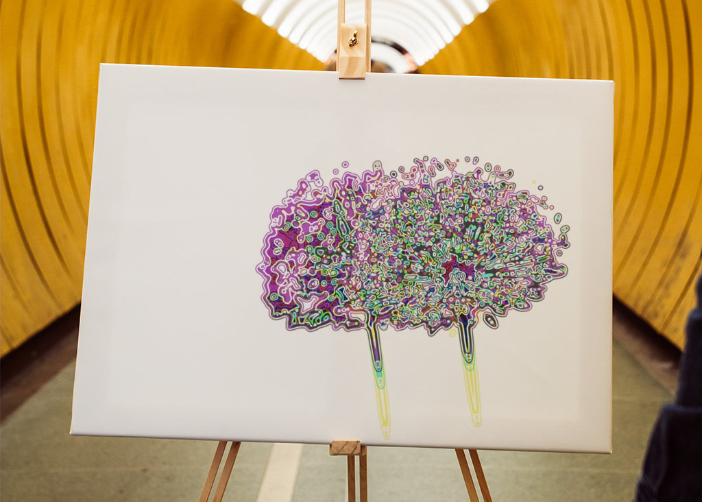 Allium Gigantium in bloom