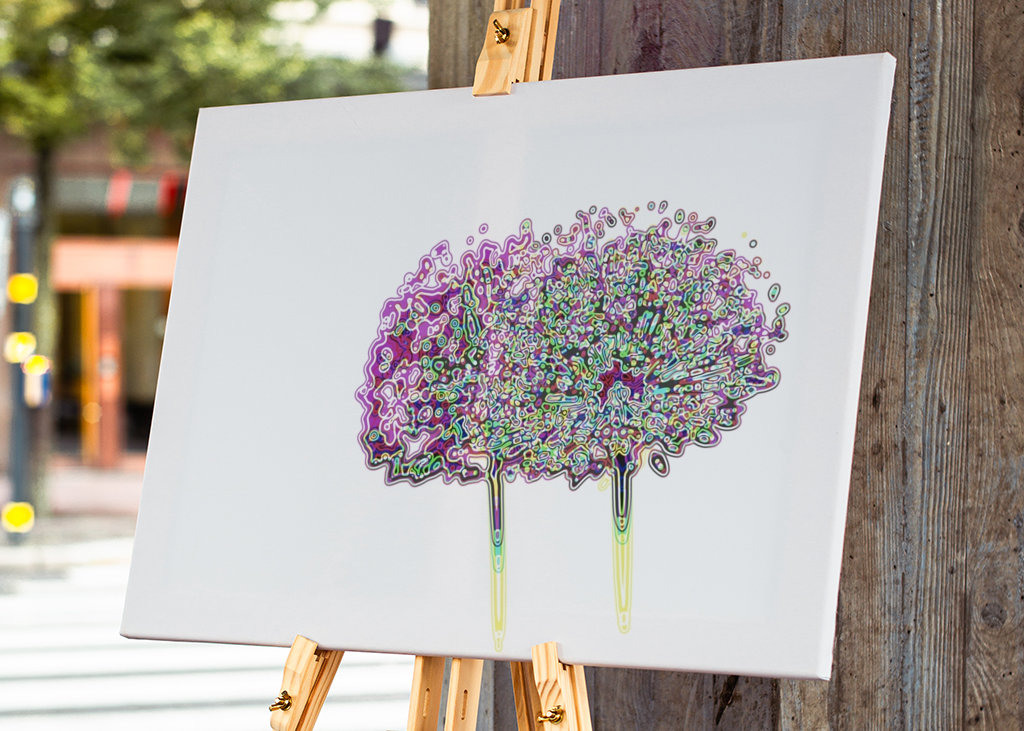 Allium Gigantium in bloom