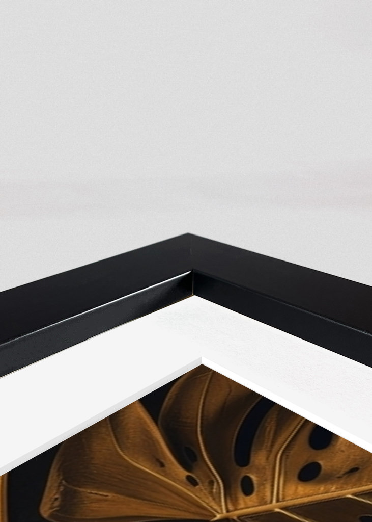 Monstera Feuille d’Or