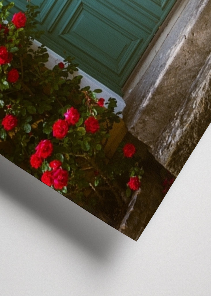 Staré zelené dveře s růžemi