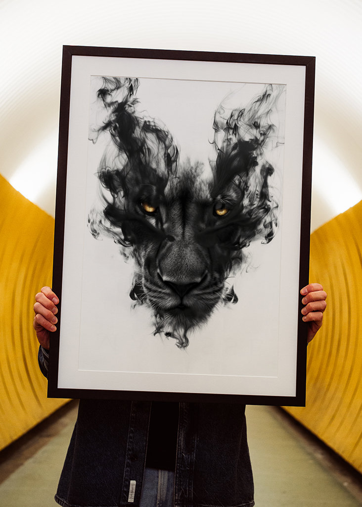  Majesteettinen musta leijona