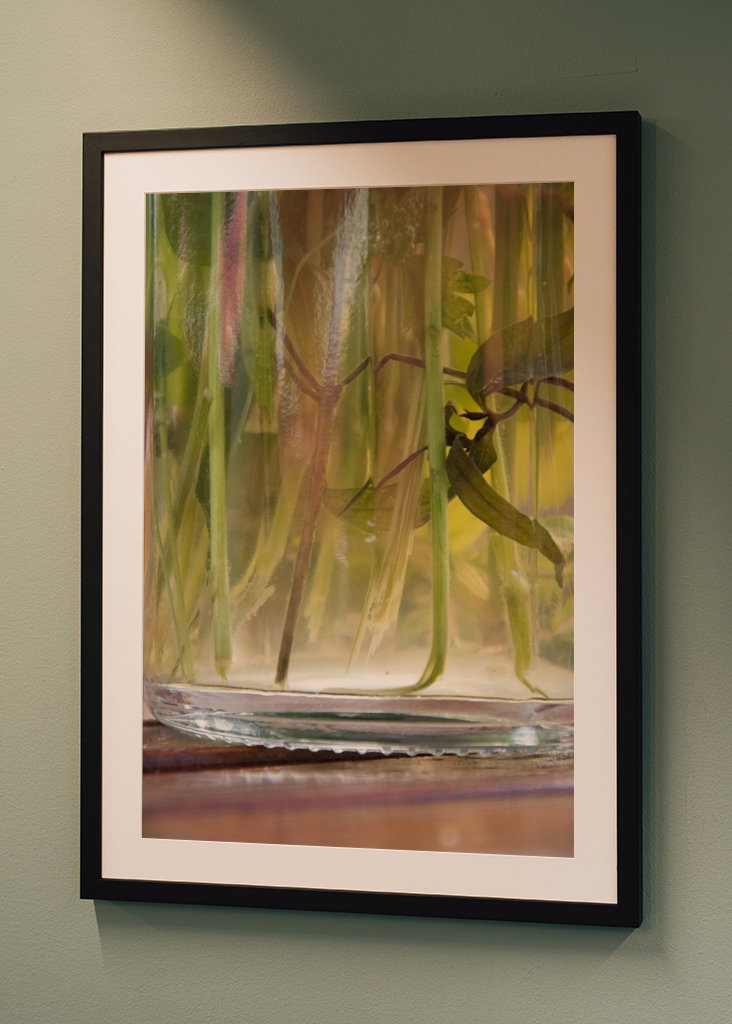 Blommor - i botten av vasen