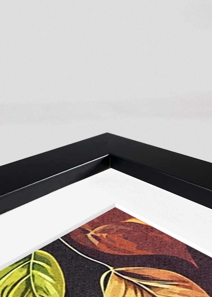 Touchan farebný ročník 