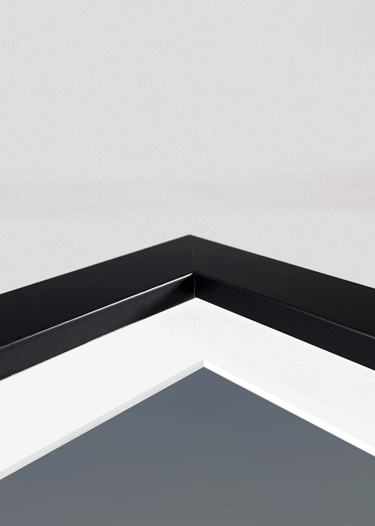 Thorfinn Vinland Saga