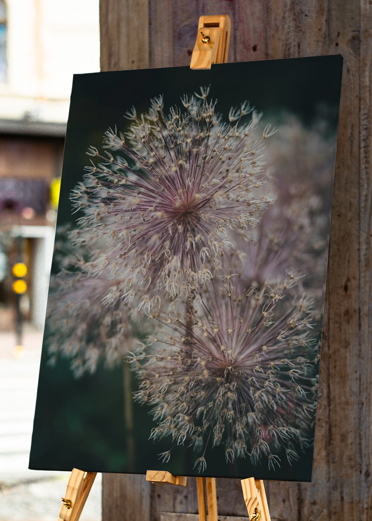Mooie bloemen in de zomer
