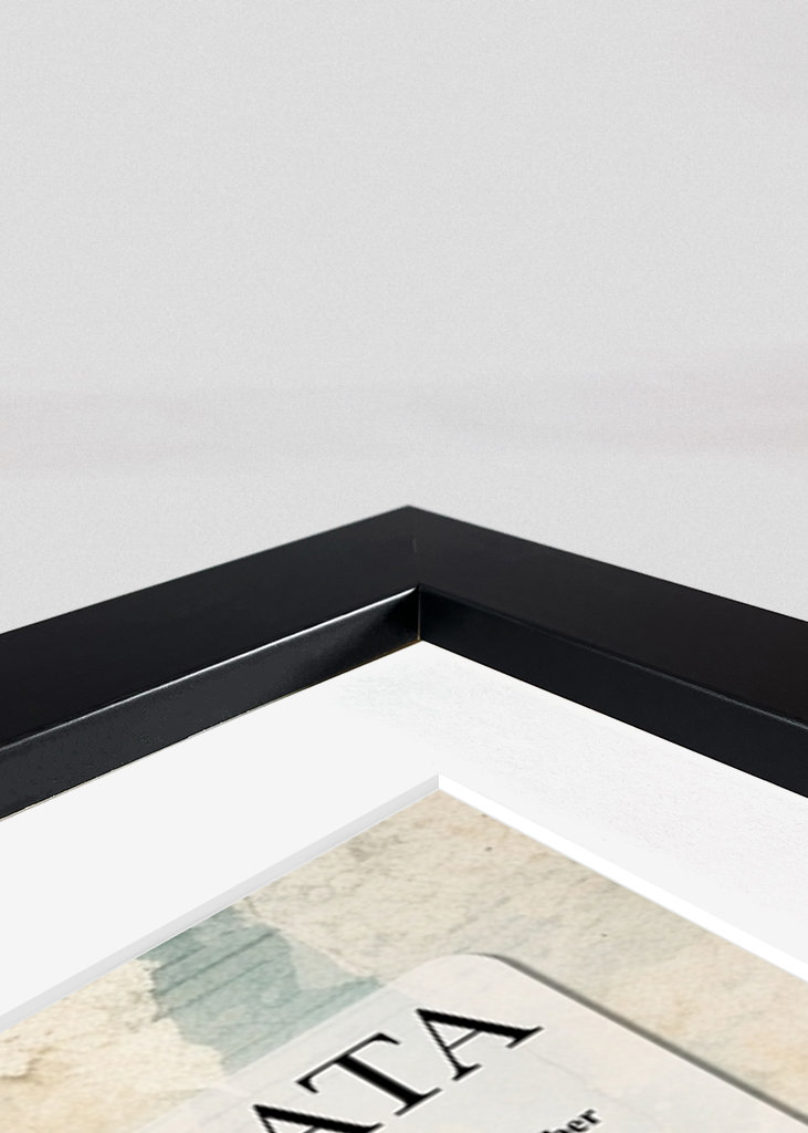 Desiderata Poem by Max Ehrmann