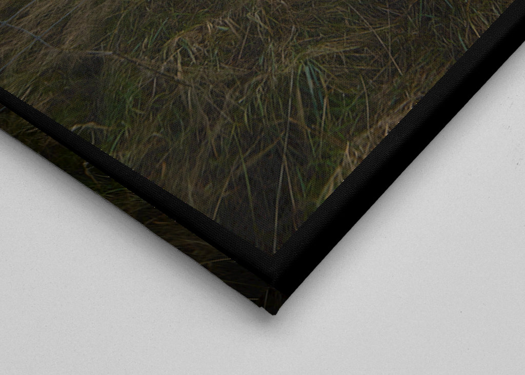 Zítra je ten nejlepší den