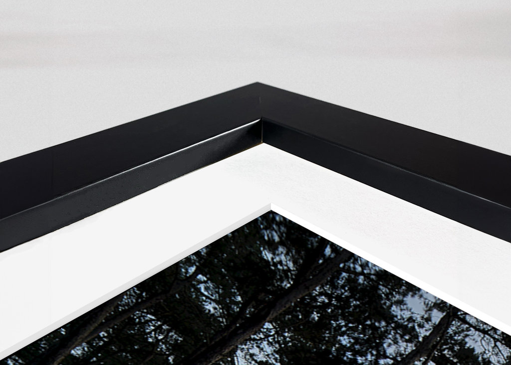 Zítra je ten nejlepší den