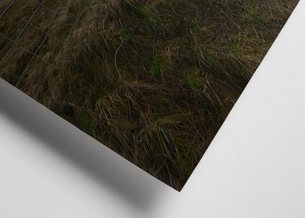 Zítra je ten nejlepší den