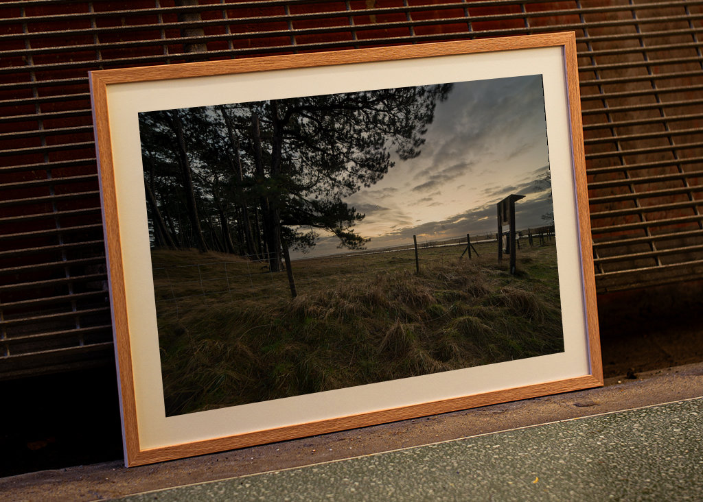 Zítra je ten nejlepší den