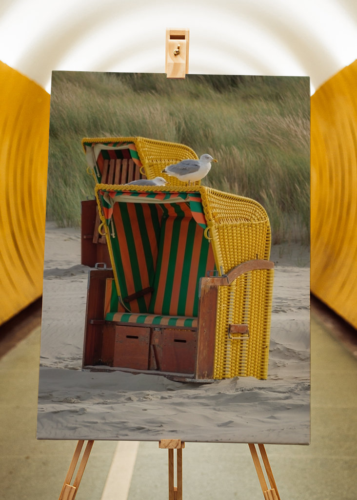 Måger på en strandstol