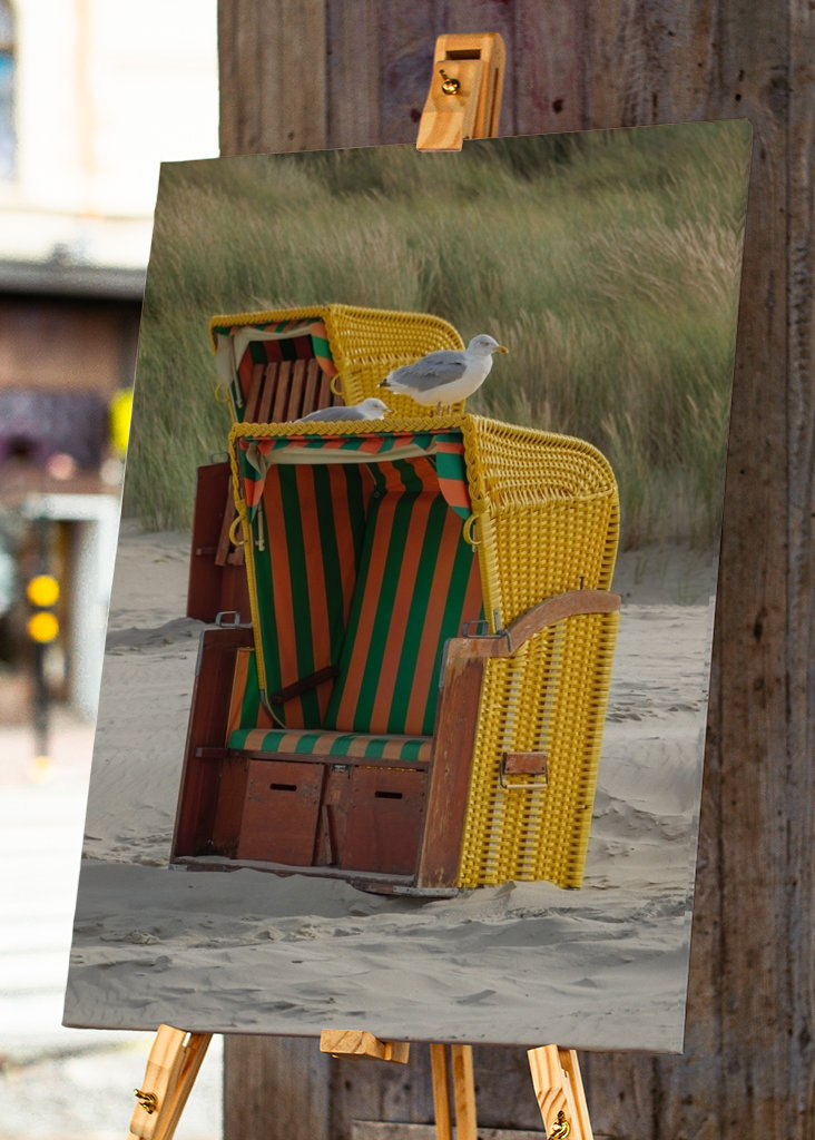 Måger på en strandstol