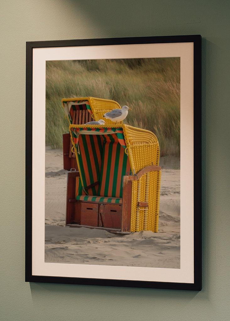 Måger på en strandstol