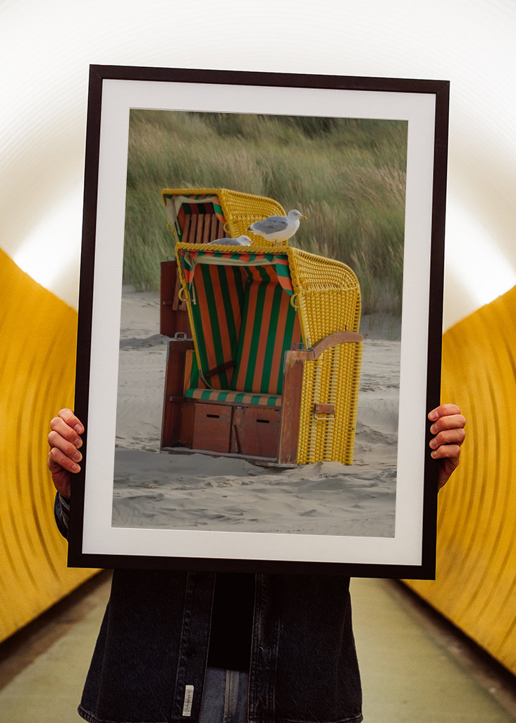 Måger på en strandstol