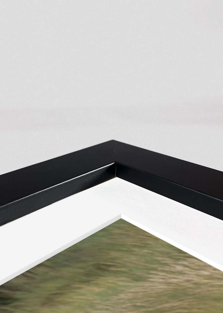 Måger på en strandstol