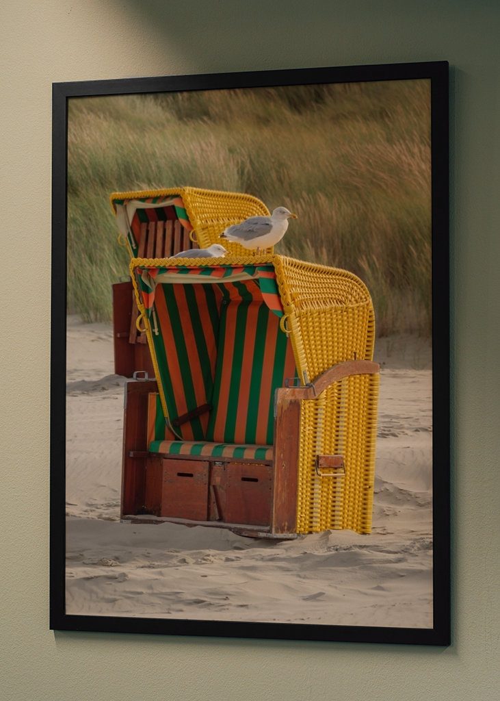 Måger på en strandstol