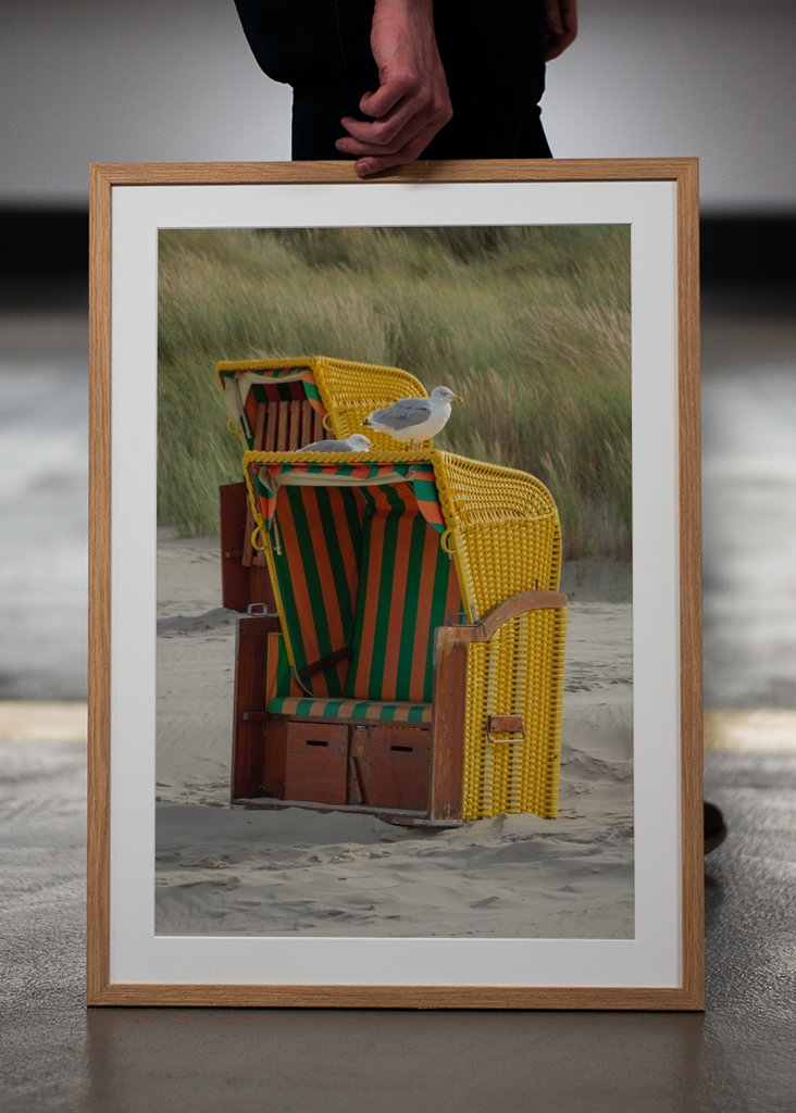 Måger på en strandstol