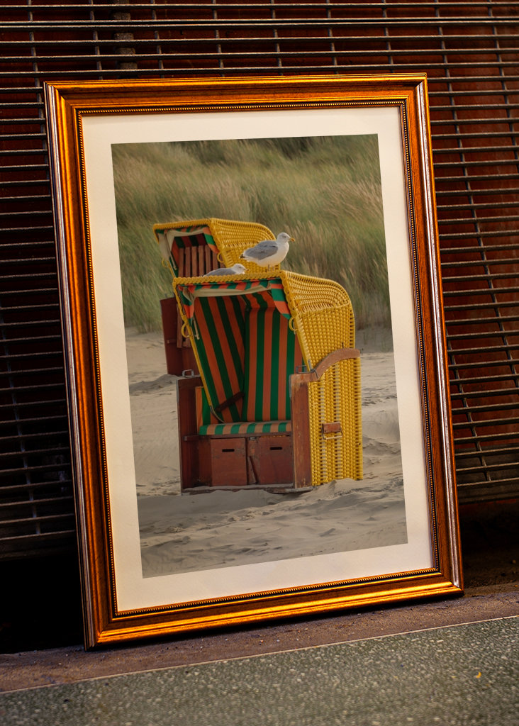 Måger på en strandstol