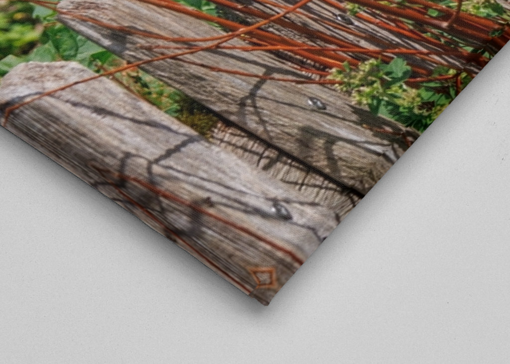 Dřevěný plot na zahradě chalupy