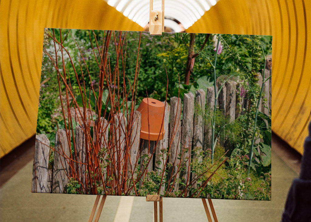 Dřevěný plot na zahradě chalupy