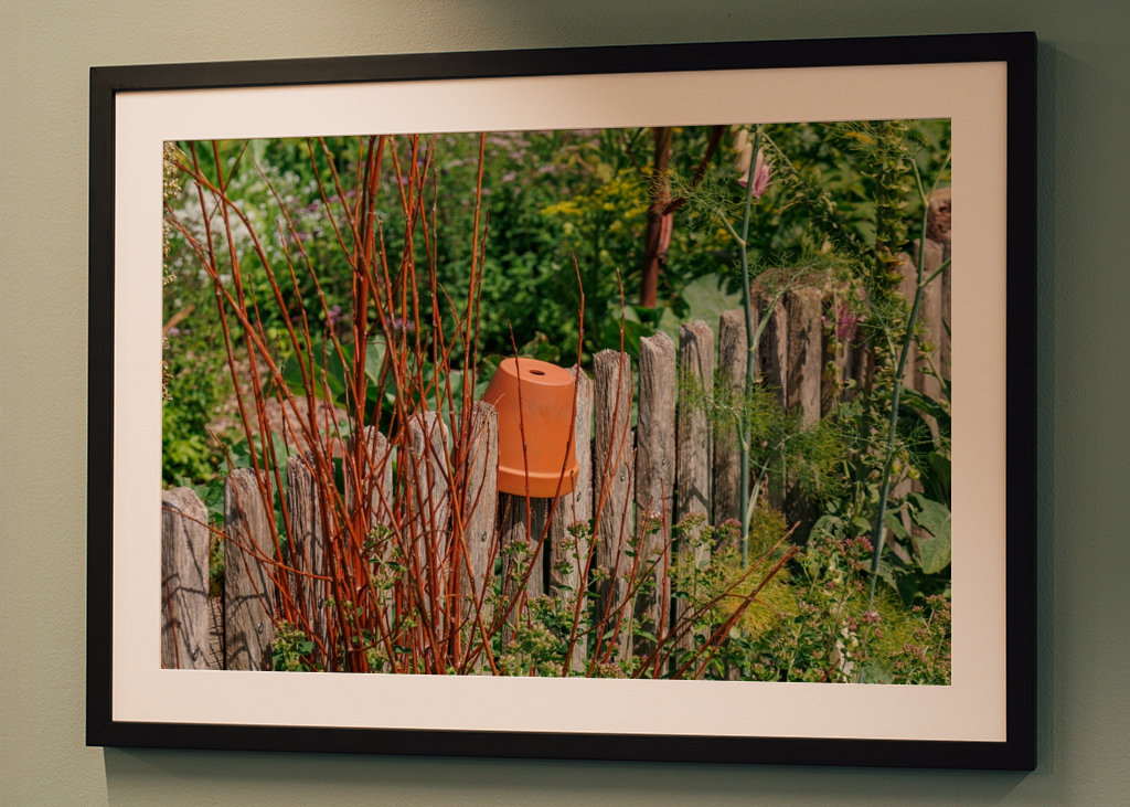 Dřevěný plot na zahradě chalupy