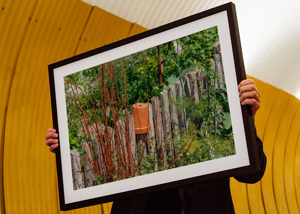 Dřevěný plot na zahradě chalupy