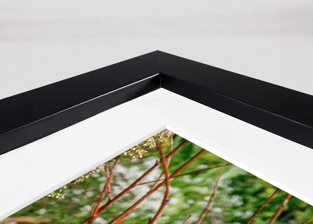 Dřevěný plot na zahradě chalupy