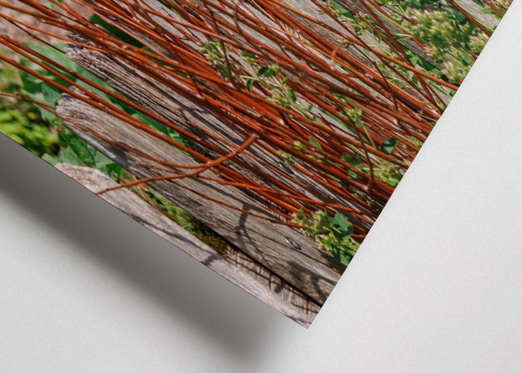 Dřevěný plot na zahradě chalupy