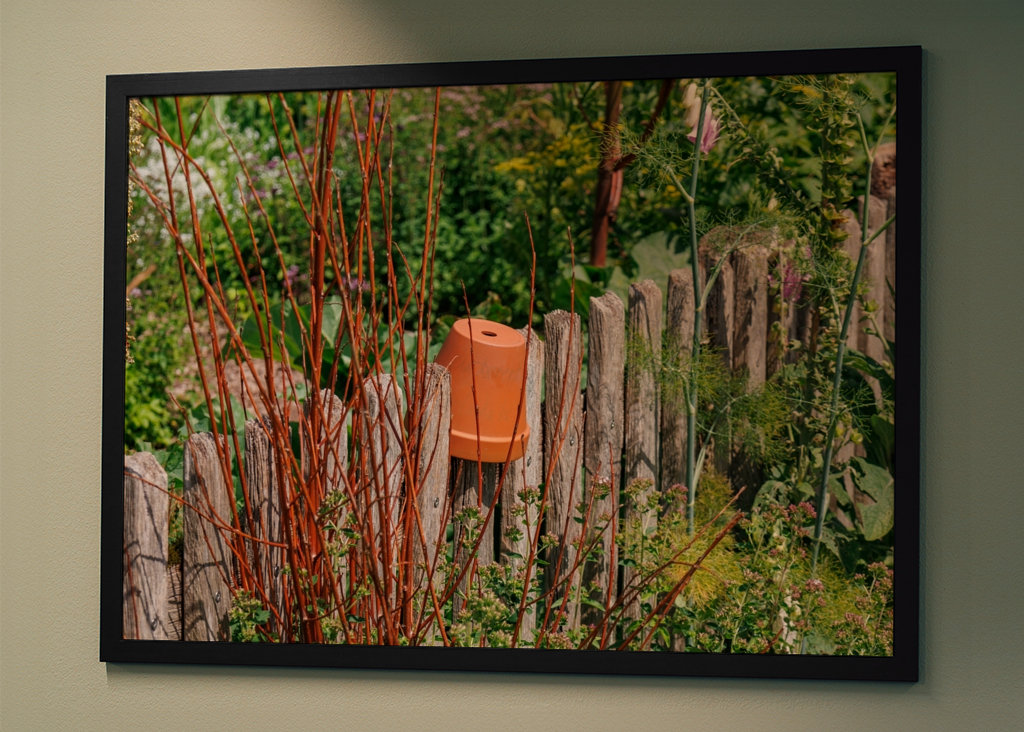 Dřevěný plot na zahradě chalupy