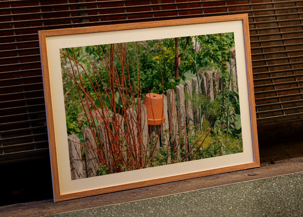 Dřevěný plot na zahradě chalupy