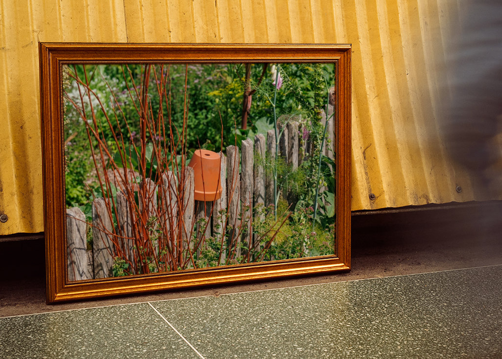 Dřevěný plot na zahradě chalupy