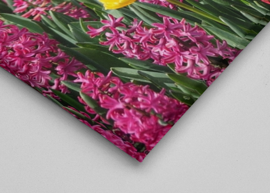 gule tulipaner i et hav af blomster